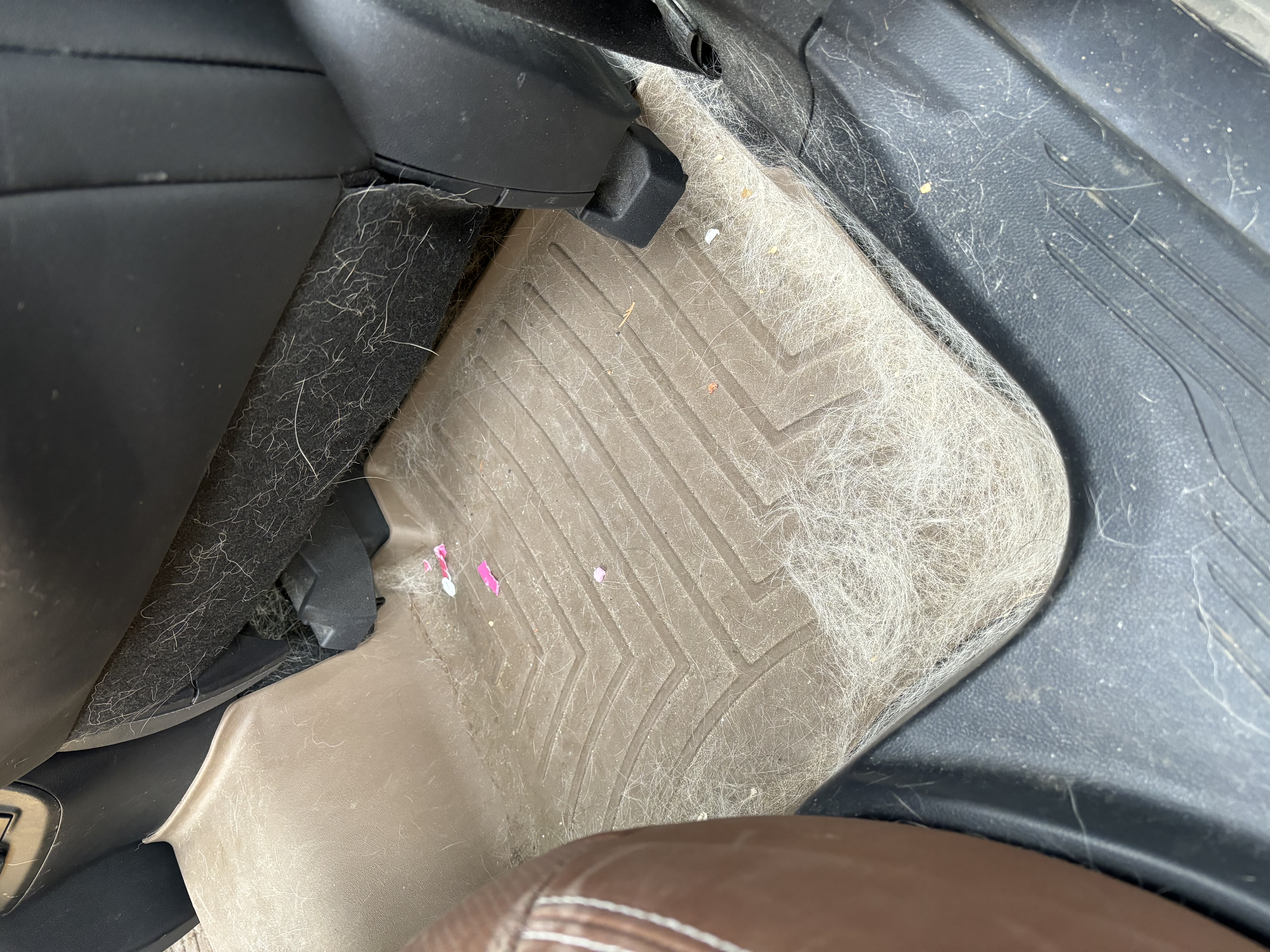 Interior before cleaning